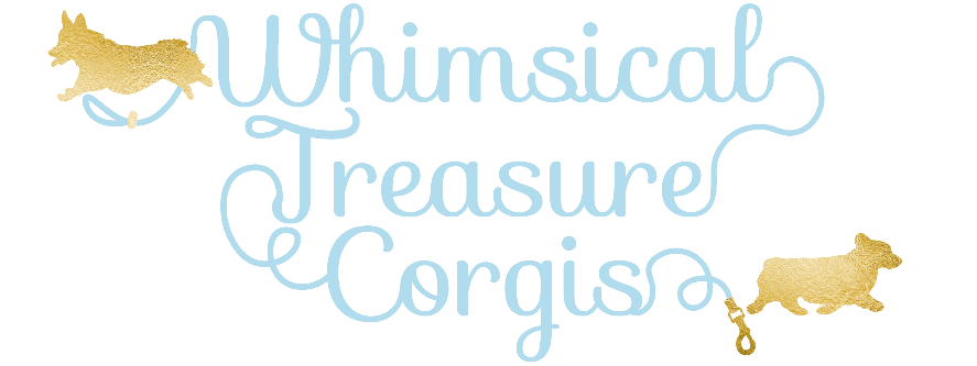 Whimsical Treasure Corgis